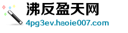 沸反盈天网